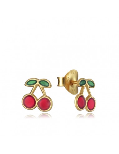 Boucles d´oreilles Viceroy 5119E100-16 pas cheres