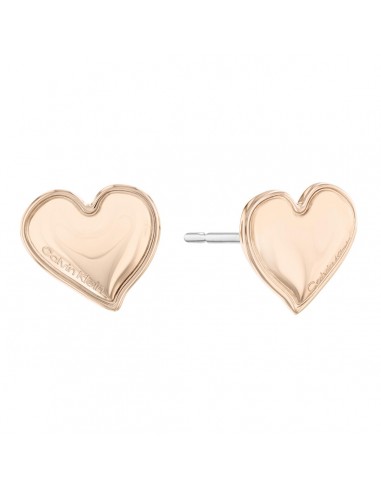 Boucles d´oreilles Femme Calvin Klein 35000303 Acier inoxydable 2024