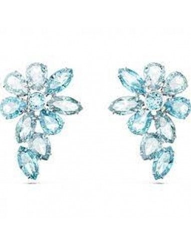 Boucles d´oreilles Femme Swarovski 5666016 ouvre sa boutique