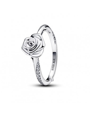 Bague Femme Pandora 193215C01-54 14 de votre