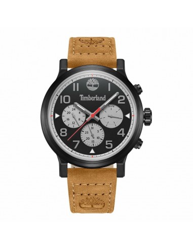 Montre Homme Timberland TDWGF0028902 Noir brillant des détails fins