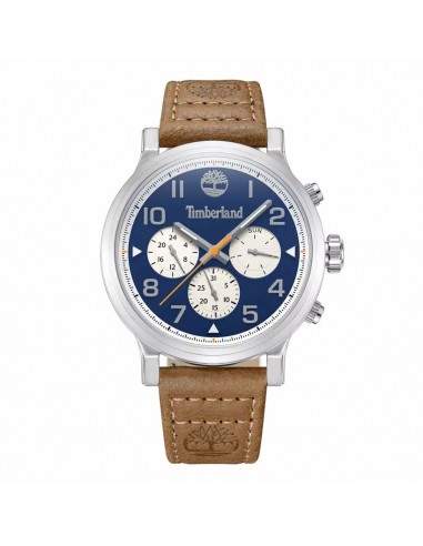 Montre Homme Timberland TDWGF0028904 les ligaments