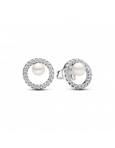 Boucles d´oreilles Femme Pandora 291248C01 brillant des détails fins