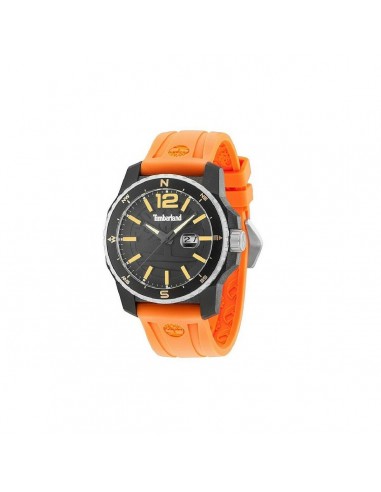 Montre Homme Timberland 15042JPBS-02P 2023