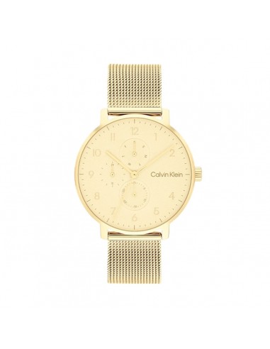 Montre Homme Calvin Klein 25200403 Doré Par le système avancé 