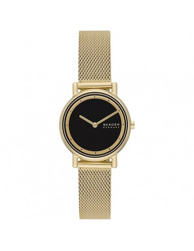 Montre Femme Skagen SIGNATUR LILLE (Ø 30 mm) est présent 