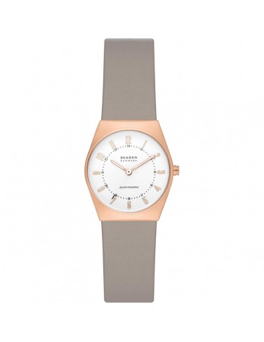 Montre Femme Skagen GRENEN LILLE SOLAR (Ø 26 mm) sélection de produits