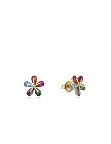 Boucles d´oreilles Femme Viceroy 13083E100-99 paiement sécurisé